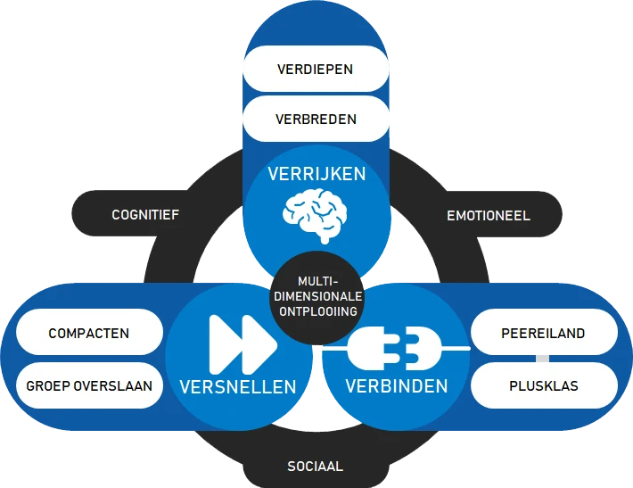 Hoogbegaafdheid hoe begeleid je het - Het Interventiemodel